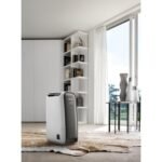 Humidificateur et deshumidificateur DELONGHI DNS65 – Image 2