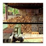 3 stères de bûches – 30cm – En vrac (1,98M3) – Chêne/Hêtre/Charme – Image 4