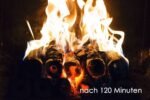 Pini Kay Premium Buchenholzbriketts 960kg Palette – Image 9
